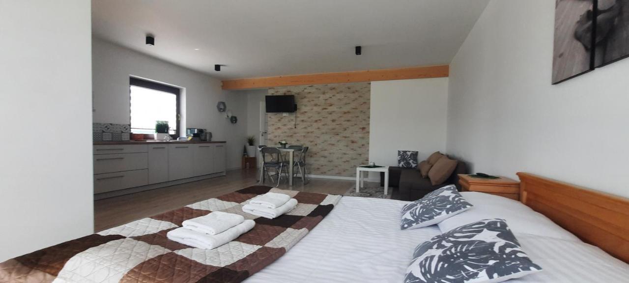 Apartamenty U Piotra Czarny Dunajec Kültér fotó